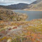 I am planning lots of adventures.  Please come back in a few months time to see what is happening.