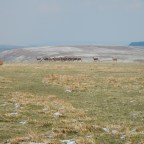 Day 14 Buckland to Exford