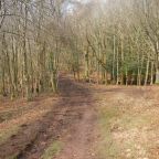 Day 15 Exford to Williton