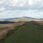 Day 42 Alston to Greenhead