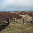 Day 48 Melrose to Traquair