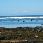 Day 70 Embo to Brora Caravan Club Site