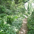 Map 193 Undercliff Wilderness and East Devon Hills and Wetlands