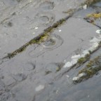 Map 55 Cairns, stone circles and rock art