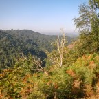 Sustainable electricity – and a couple of tors