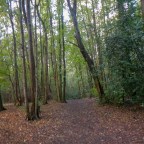 Map 140 Nuneaton Circular – typical semi-rural Midlands