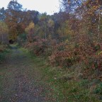 Map 175 Beech woods and rare lowland heath