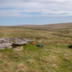 Tors, Cattle and Letterboxes