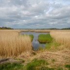 Map 156: Southwold: Exploration of Suffolk Coast and Heaths