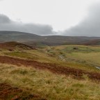 Map 37: A chance visit and a “virtual” view