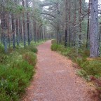 Map 36: Speyside Forests