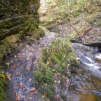 Map 201: A Dramatic River Gorge – and a tor!