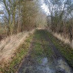 Map 167: Royal Forests and Sticky Mud