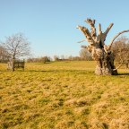 Map 153: A pilgrimage through Bedfordshire in the footsteps of John Bunyan