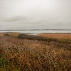 Map 197: Thorney Island