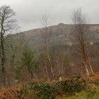 Ausewell Wood, Buckland Beacon and the Commandment Stone