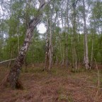 Map 142: Holme Fen and the lowest land point in Great Britain plus a salutary lesson