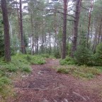 E1 Walk continues in Sweden – north from Halmstad