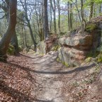 Maps 129 & 120: The Robin Hood Connection