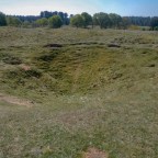 Map 144: Flint and Forest