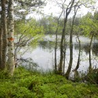 E1 Göteborg to Grövelsjön and more – an epic seven week adventure