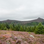 Map 38: The Complete Bennachie