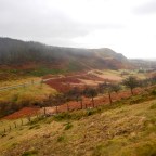 Map 146: Cwm Berwyn and Garn Fawr – remote sheep farms, forest plantations and moor