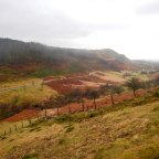 Map 146: Cwm Berwyn and Garn Fawr – remote sheep farms, forest plantations and moor